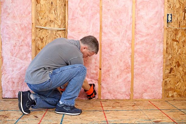 Best Fiberglass Insulation in Ball, LA