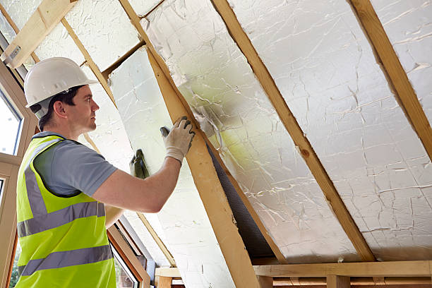 Best Specialized Insulation Services in Ball, LA